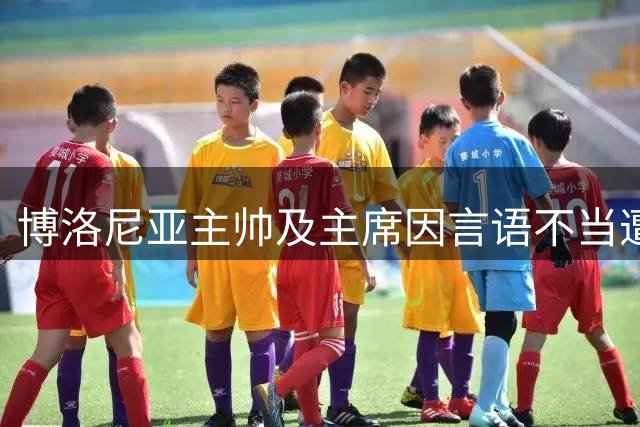 博洛尼亚主帅及主席因言语不当遭意甲纪律处罚